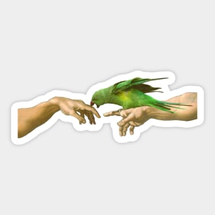 Alexandrine biting Adam, Michelangelo Green Indian ringneck Sticker